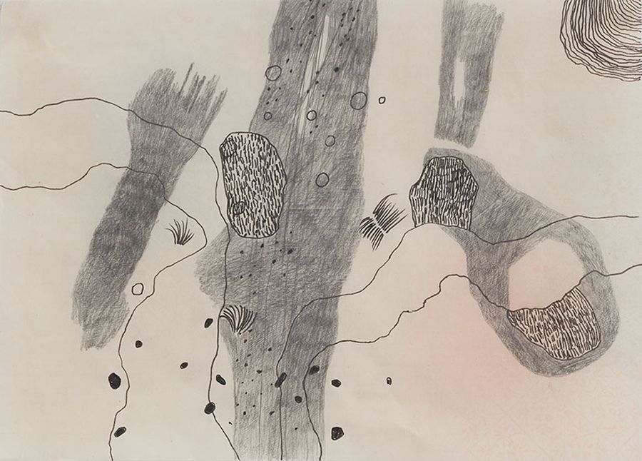 Brigitte Heintze, Trockene Landschaft, Graphit, Tusche auf Japanpapier, 20 x 30 cm, 2024